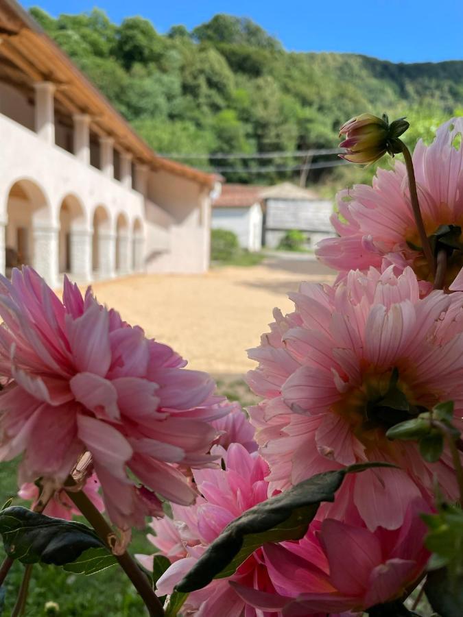Agriturismo Il Bosco Camere 비토리오베네토 외부 사진